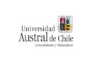 Concurso E-592025 – Profesor(a) Adjunto(a) Centro de Docencia Superior en Ciencias Básicas Puerto Montt, UACH