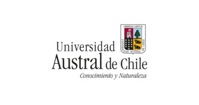 Concurso E-502025 – Académico(a) Instituto de Especialidades Pedagógicas Puerto Montt, UACH