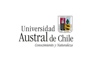 Concurso E-502025 – Académico(a) Instituto de Especialidades Pedagógicas Puerto Montt, UACH